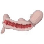 Elsababe onaho SSL012 画像06